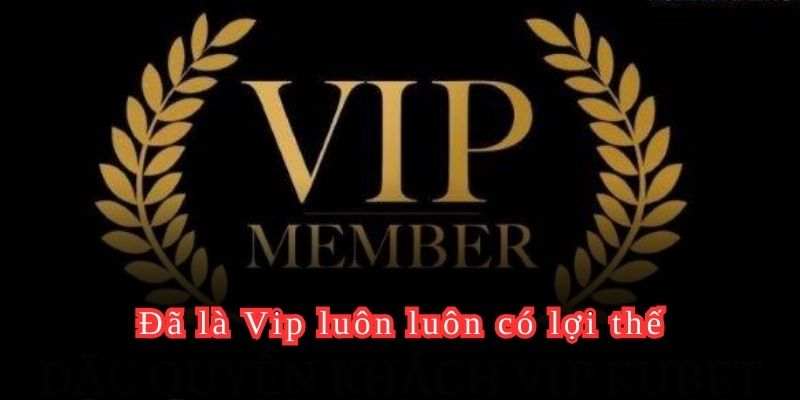 Đã là Vip luôn luôn có lợi thế